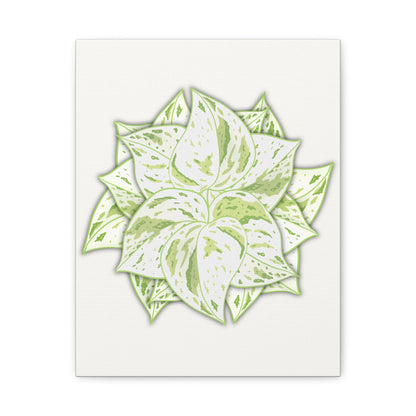 Snow Queen Pothos Canvas Print – Botanical Wall Art