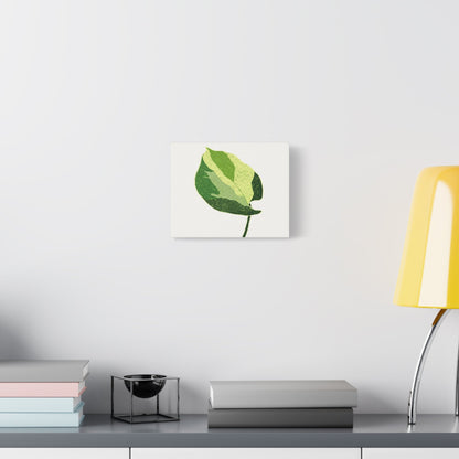 Manjula Pothos Illustrated Canvas Print – Botanical Wall Art