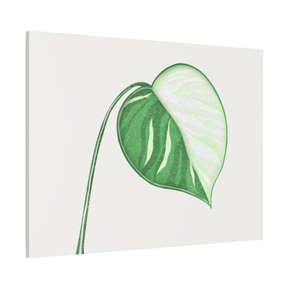 Monstera Albo Canvas Print – Botanical Wall Art