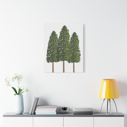 Ponderosa Pine Canvas Print – Wall Art