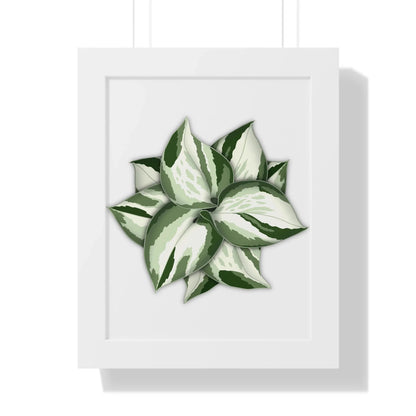 Manjula Pothos Framed Print – Botanical Wall Art
