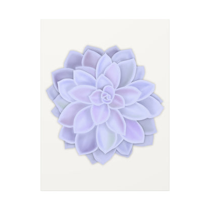 Graptopetalum Murasaki Succulent Canvas Print – Botanical Wall Art
