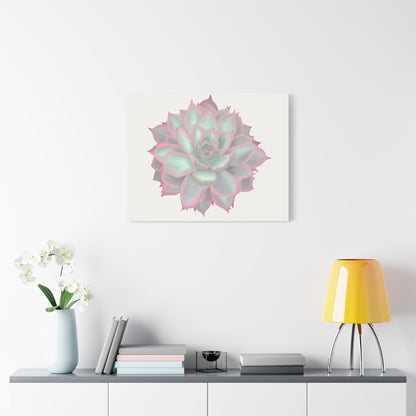 Echeveria Violet Queen Succulent Canvas Print – Botanical Wall Art