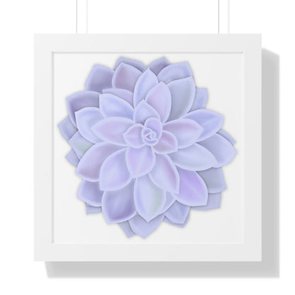 Graptopetalum Murasaki Succulent Framed Print – Botanical Wall Art