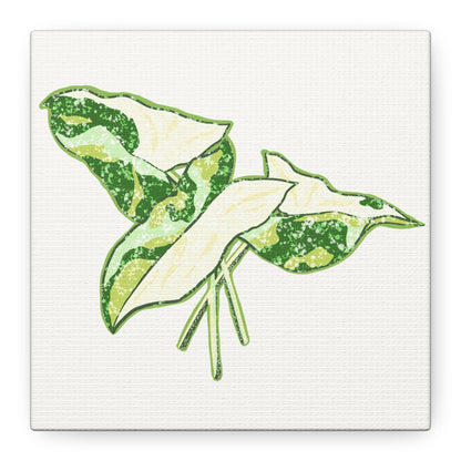 Marble Syngonium Canvas Print – Botanical Wall Art