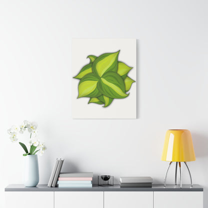 Philodendron Brasil Canvas Print – Botanical Wall Art