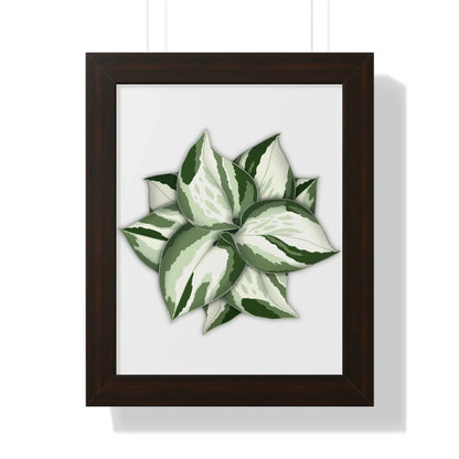 Manjula Pothos Framed Print – Botanical Wall Art