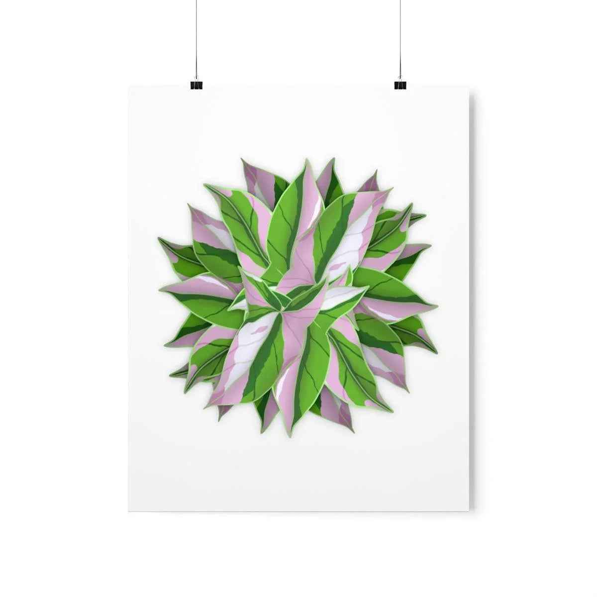 Syngonium Tricolor Pattern Botanical Print – Unframed Wall Art