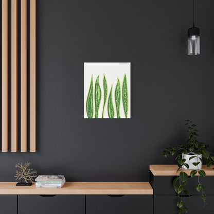Snake Plant Canvas Print – Botanical Wall Art