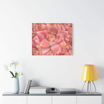Graptosedum California Sunset Succulent Pattern Canvas Print – Botanical Wall Art