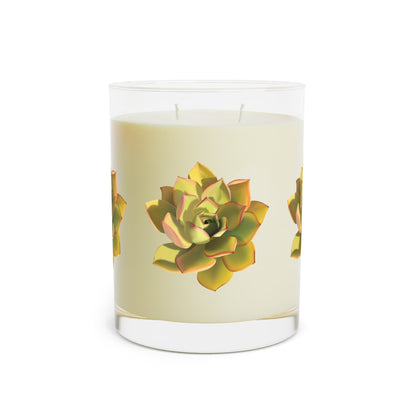 Noble Aeonium Succulent Soy Candle 11 oz – Three Scent Options