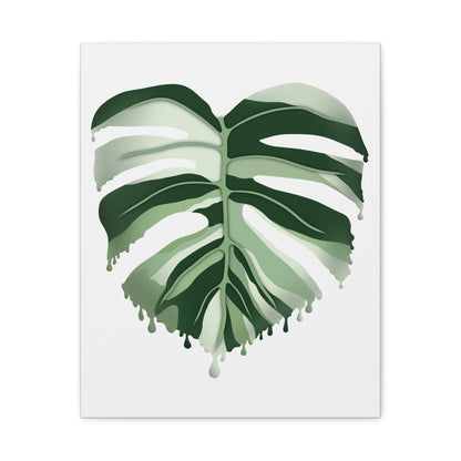 Melting Monstera Albo Canvas Print – Botanical Wall Art
