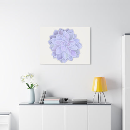 Graptopetalum Murasaki Succulent Canvas Print – Botanical Wall Art