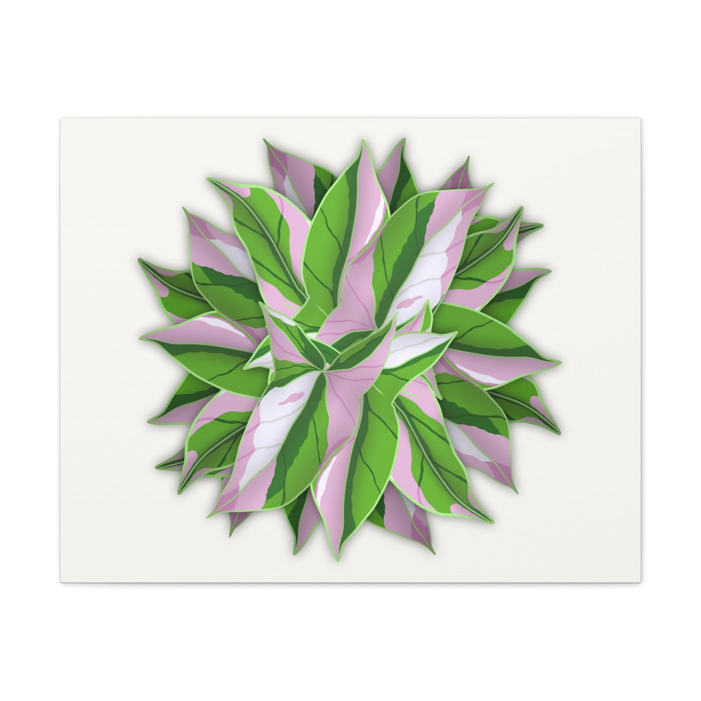 Syngonium Tricolor Pattern Canvas Print – Botanical Wall Art