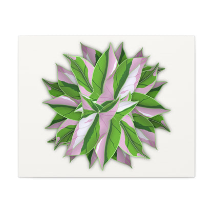 Syngonium Tricolor Pattern Canvas Print – Botanical Wall Art