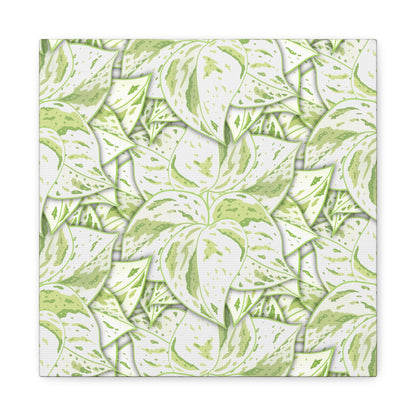 Snow Queen Pothos Pattern Canvas Print – Botanical Wall Art