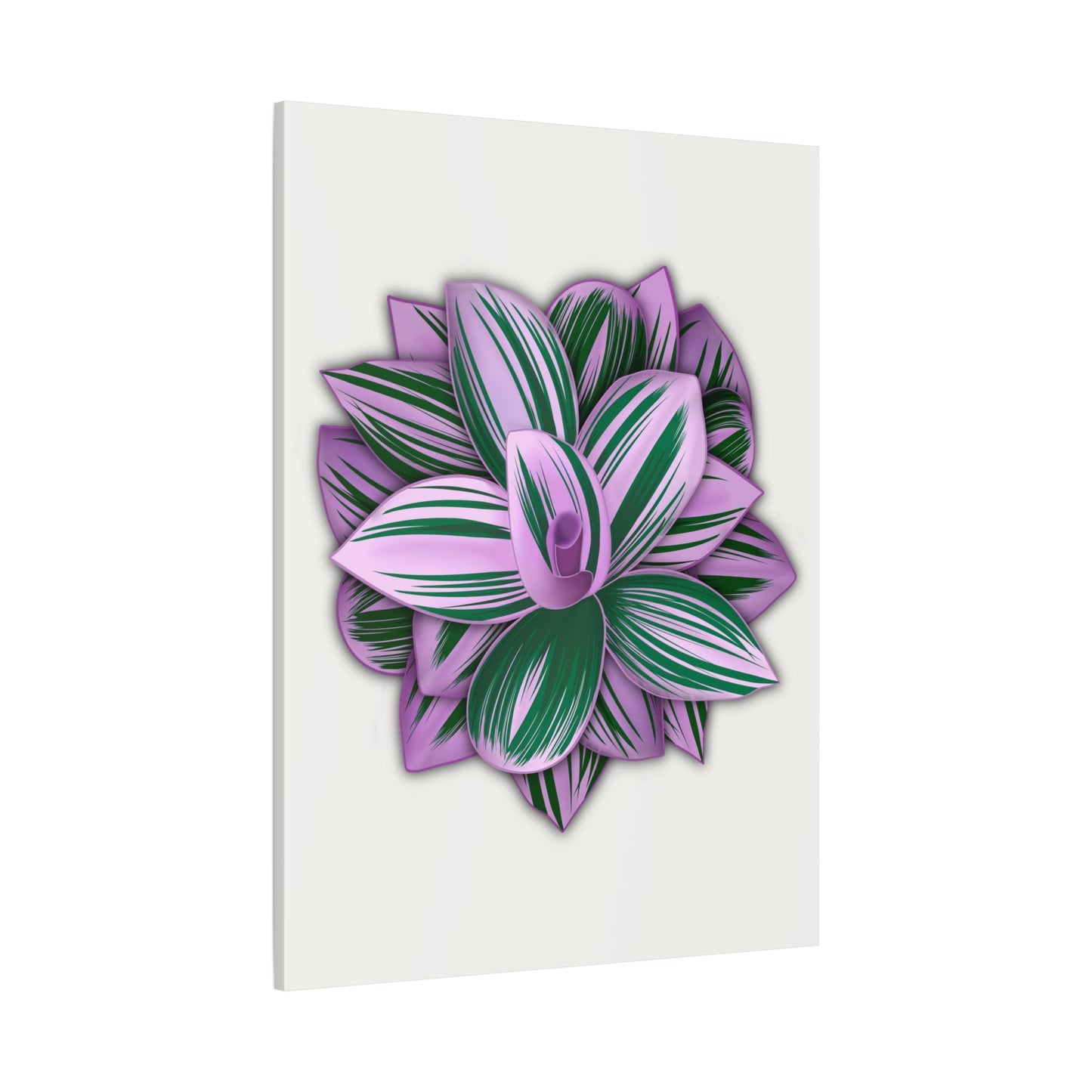 Tradescantia Nanouk Canvas Print – Botanical Wall Art