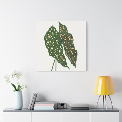 Begonia Maculata Canvas Print – Botanical Wall Art