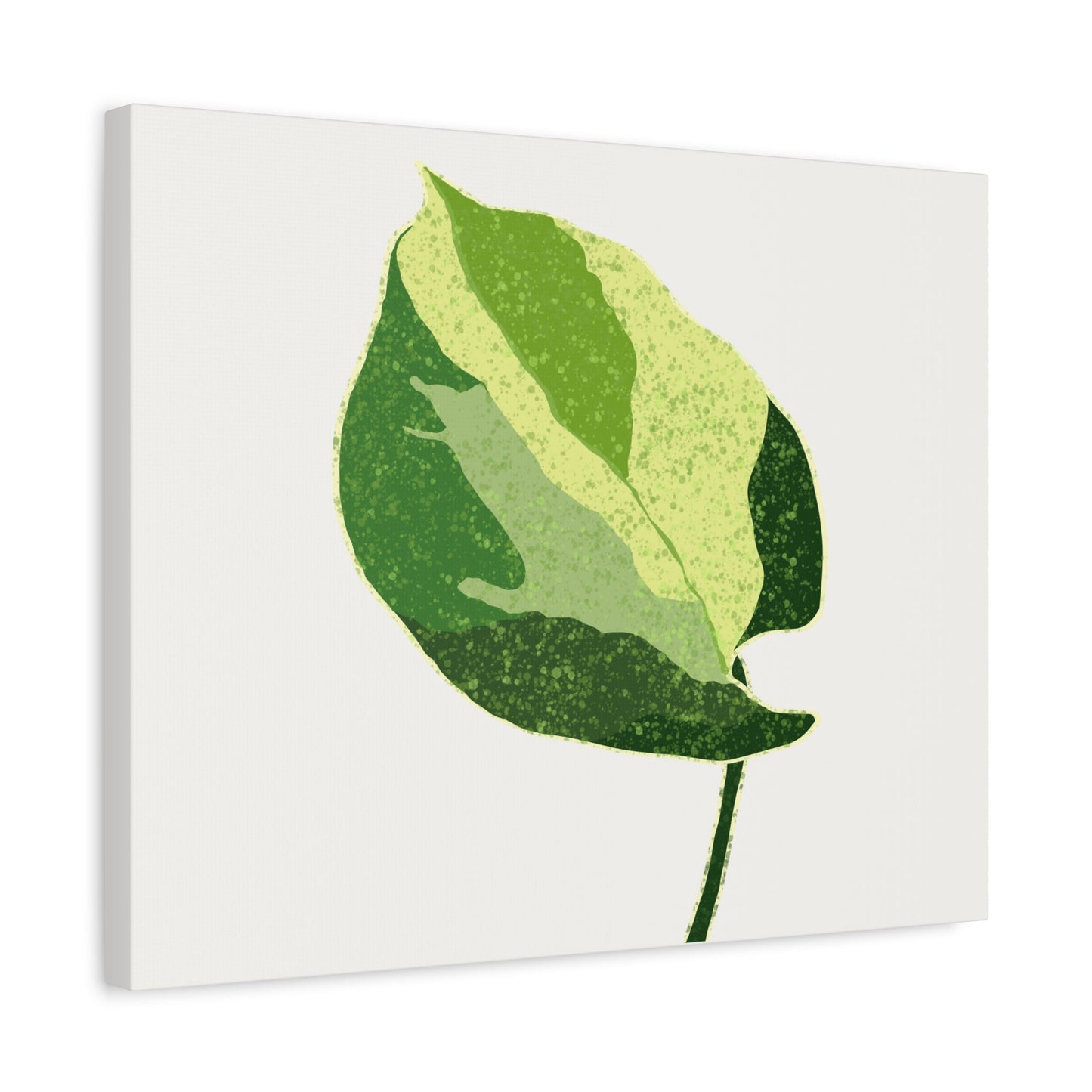 Manjula Pothos Illustrated Canvas Print – Botanical Wall Art