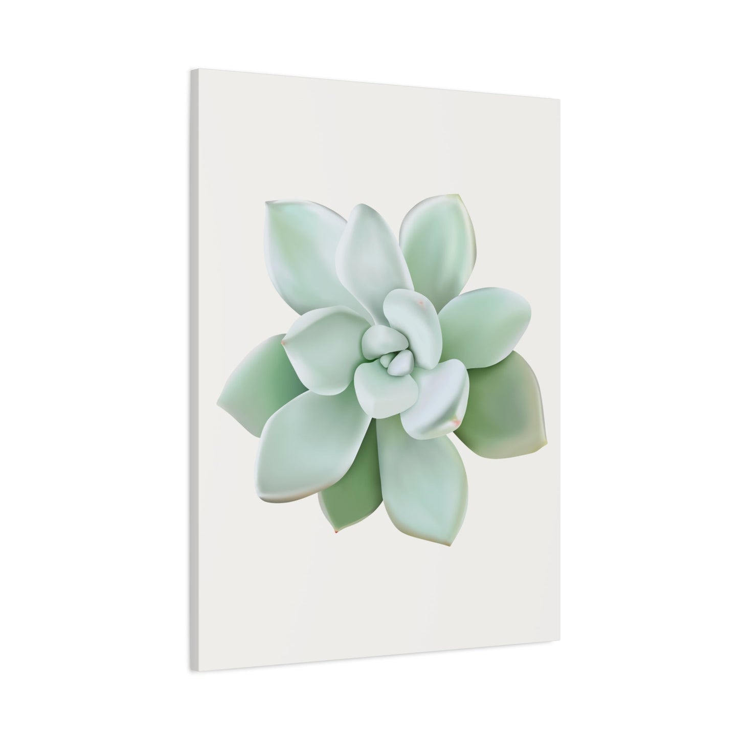 Pachyveria Haagei Succulent Canvas Print – Botanical Wall Art