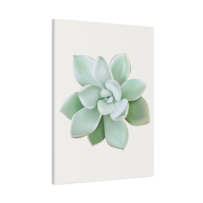 Pachyveria Haagei Succulent Canvas Print – Botanical Wall Art