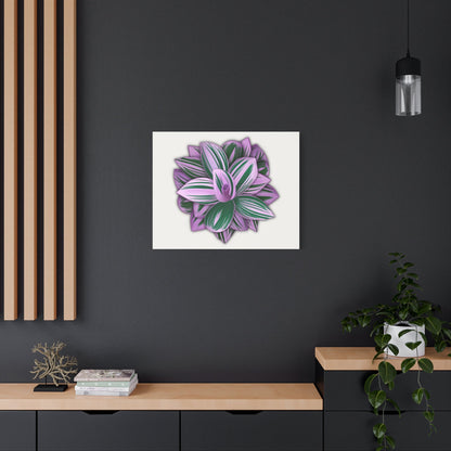 Tradescantia Nanouk Canvas Print – Botanical Wall Art