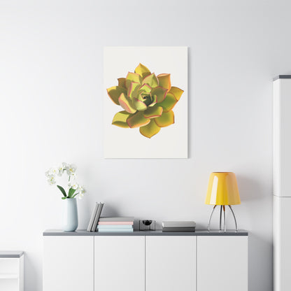 Noble Aeonium Succulent Canvas Print – Botanical Wall Art
