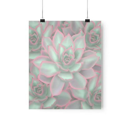 Echeveria Violet Queen Succulent Pattern Botanical Print – Unframed Wall Art