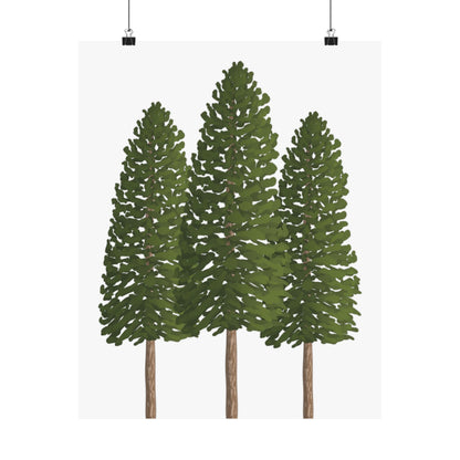 Ponderosa Pine Print – Unframed Wall Art
