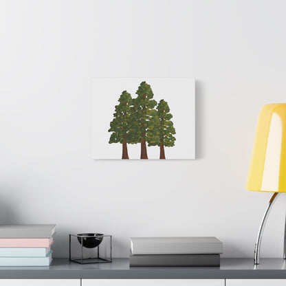 Coastal Redwood Canvas Print – Wall Art