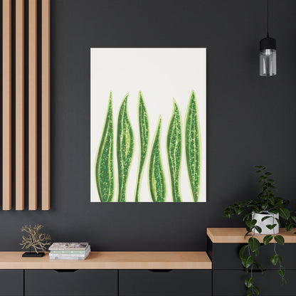 Snake Plant Canvas Print – Botanical Wall Art