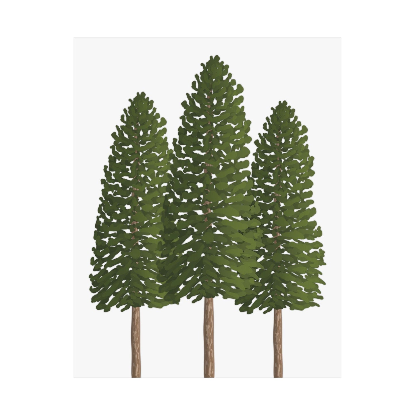 Ponderosa Pine Print – Unframed Wall Art