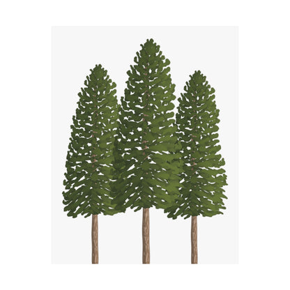 Ponderosa Pine Print – Unframed Wall Art