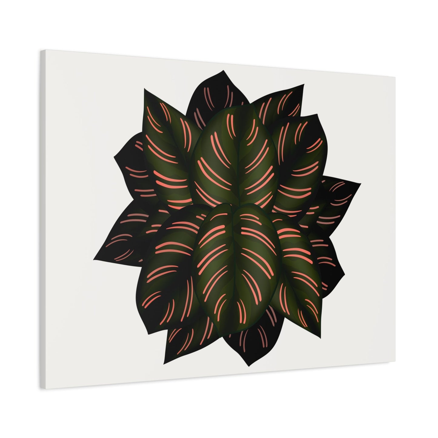 Calathea Pinstripe Canvas Print – Botanical Wall Art