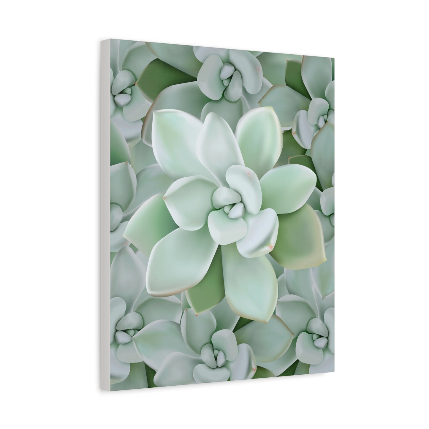 Pachyveria Haagei Succulent Pattern Canvas Print – Botanical Wall Art