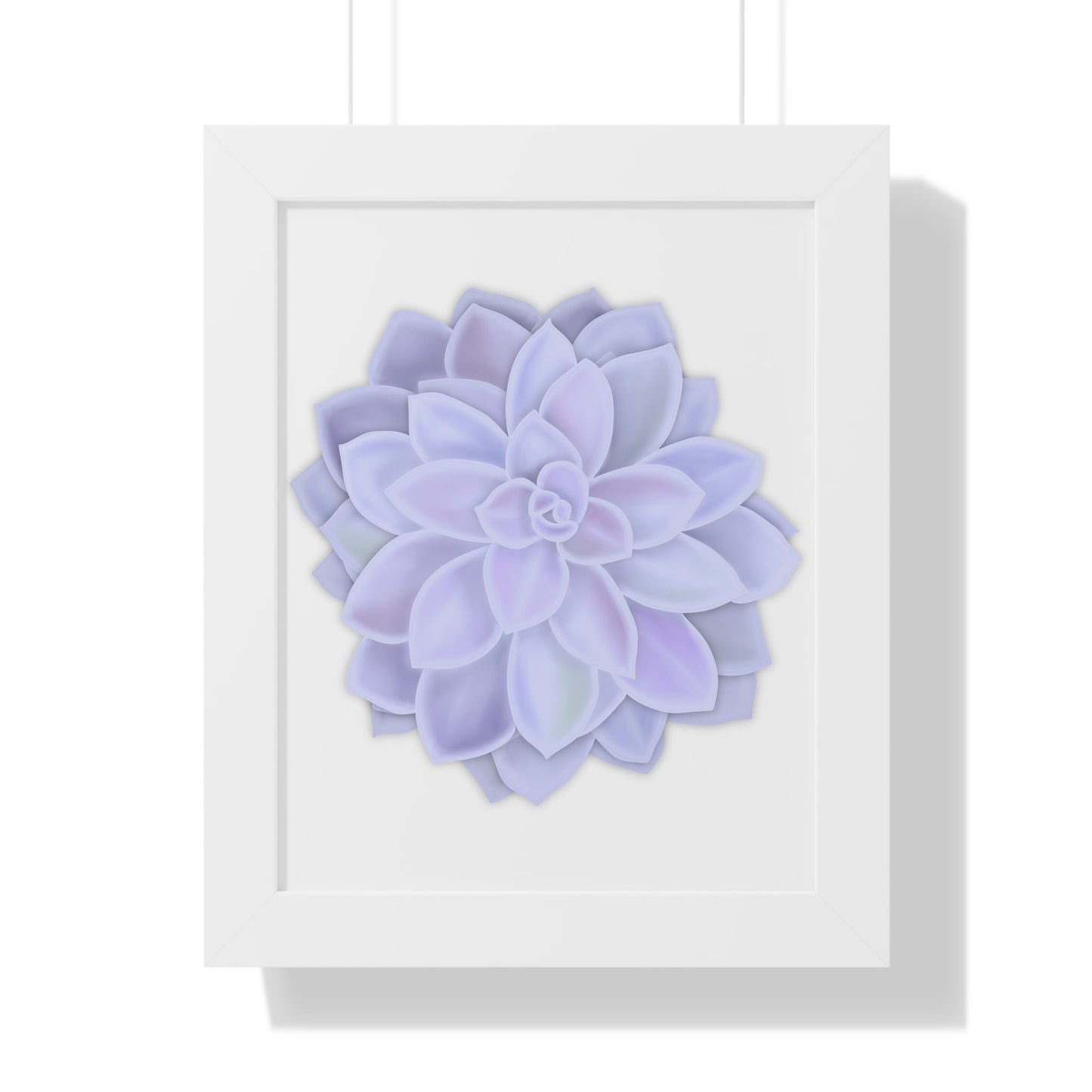 Graptopetalum Murasaki Succulent Framed Print – Botanical Wall Art