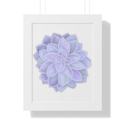 Graptopetalum Murasaki Succulent Framed Print – Botanical Wall Art