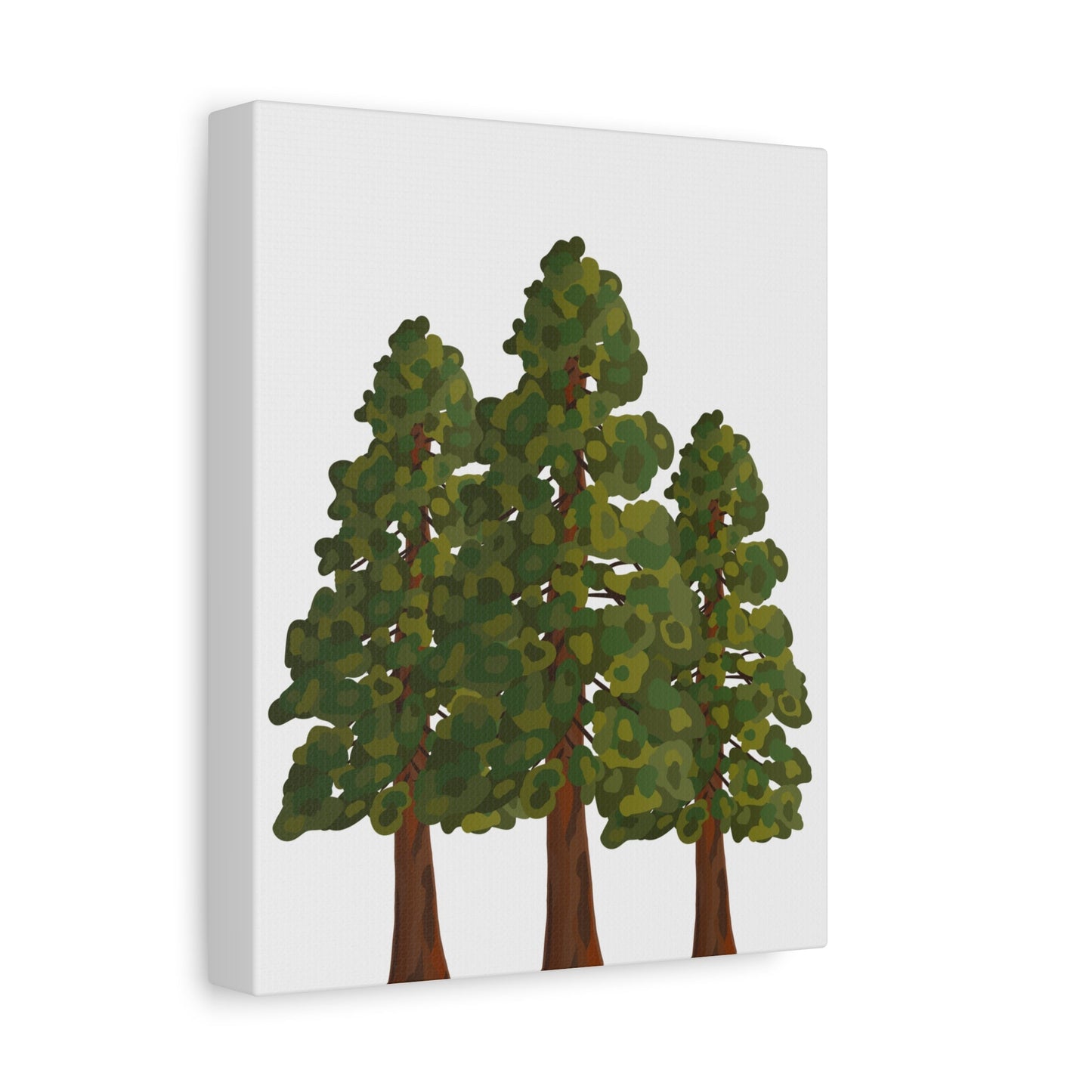Coastal Redwood Canvas Print – Wall Art