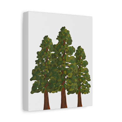 Coastal Redwood Canvas Print – Wall Art