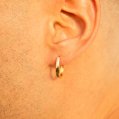 Horseshoe Shaped Hoops