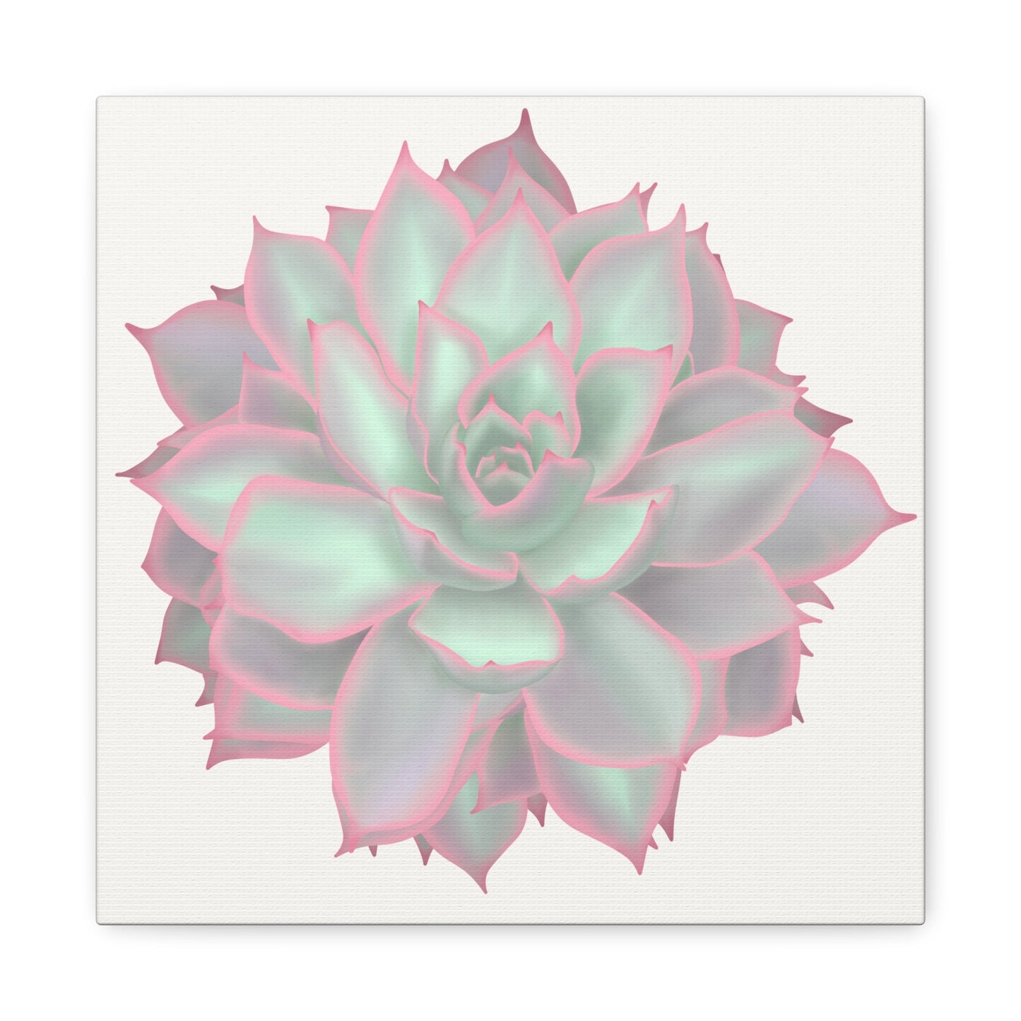 Echeveria Violet Queen Succulent Canvas Print – Botanical Wall Art