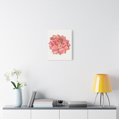 Graptosedum California Sunset Succulent Canvas Print – Botanical Wall Art