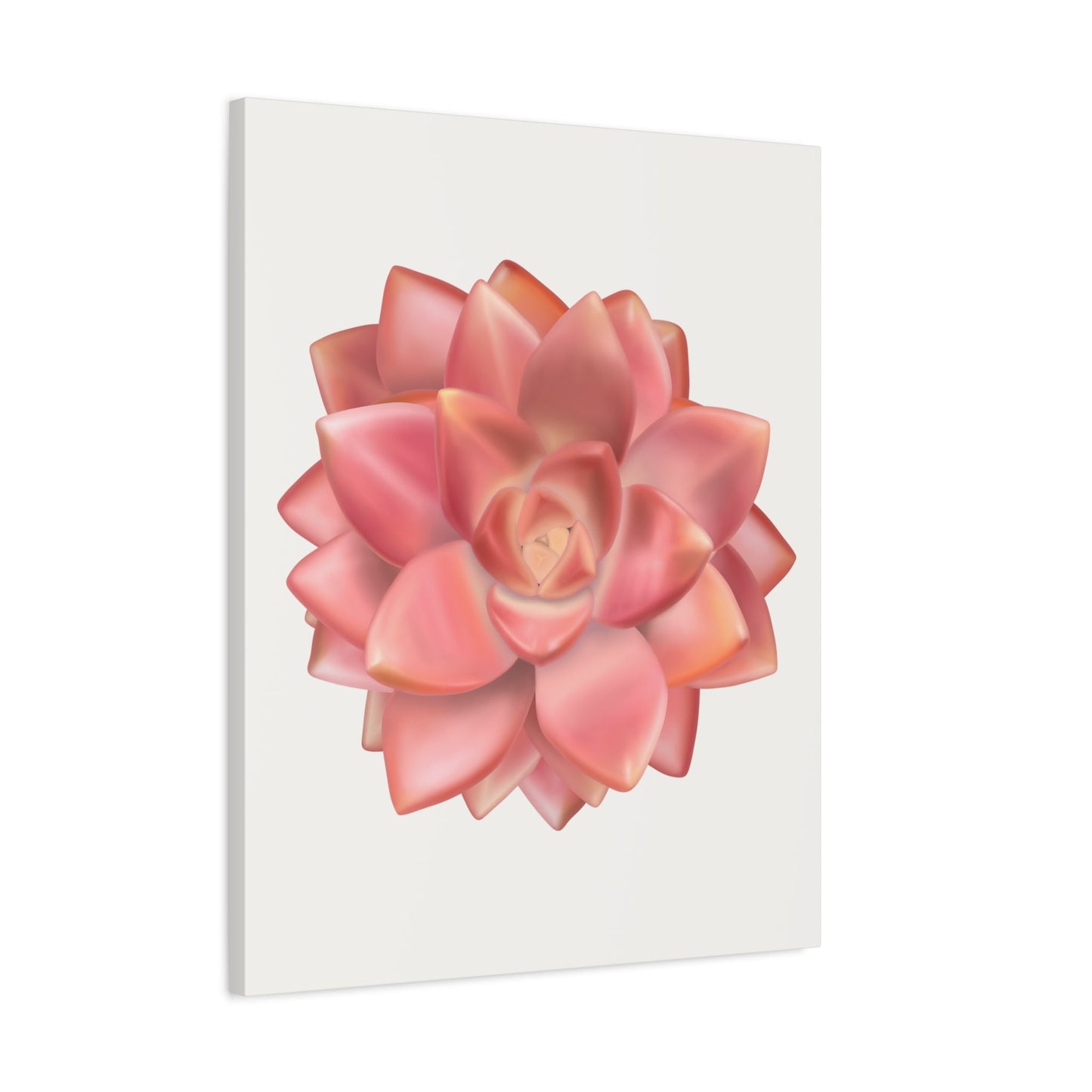 Graptosedum California Sunset Succulent Canvas Print – Botanical Wall Art