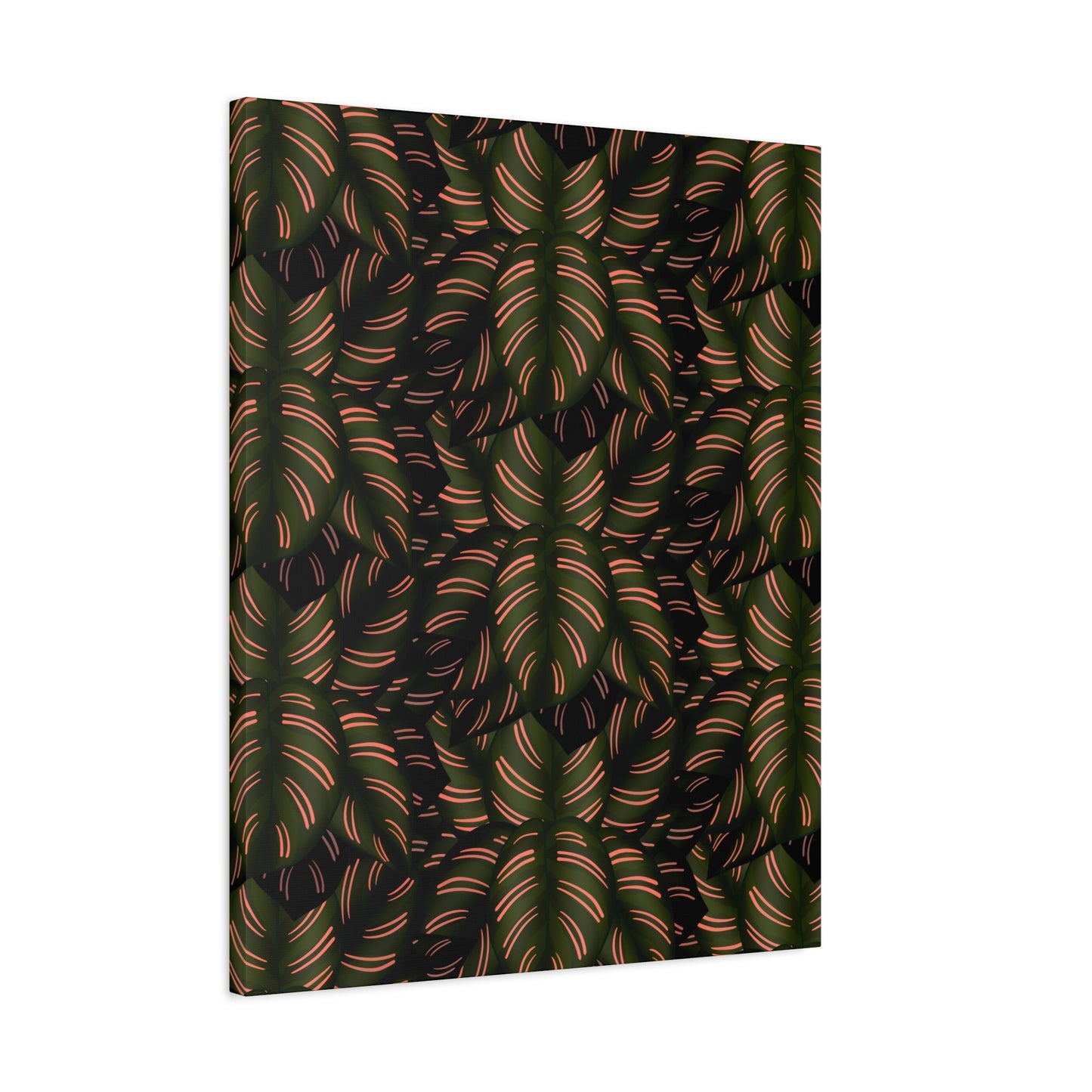 Calathea Pinstripe Pattern Canvas Print – Botanical Wall Art