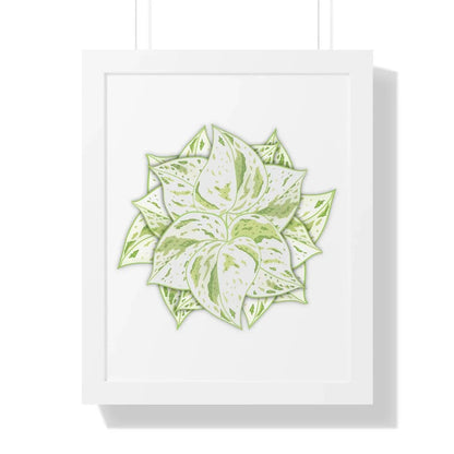 Snow Queen Pothos Framed Print – Botanical Wall Art