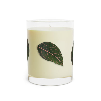 Aglaonema Rotundum Soy Candle 11 oz – Three Scent Options