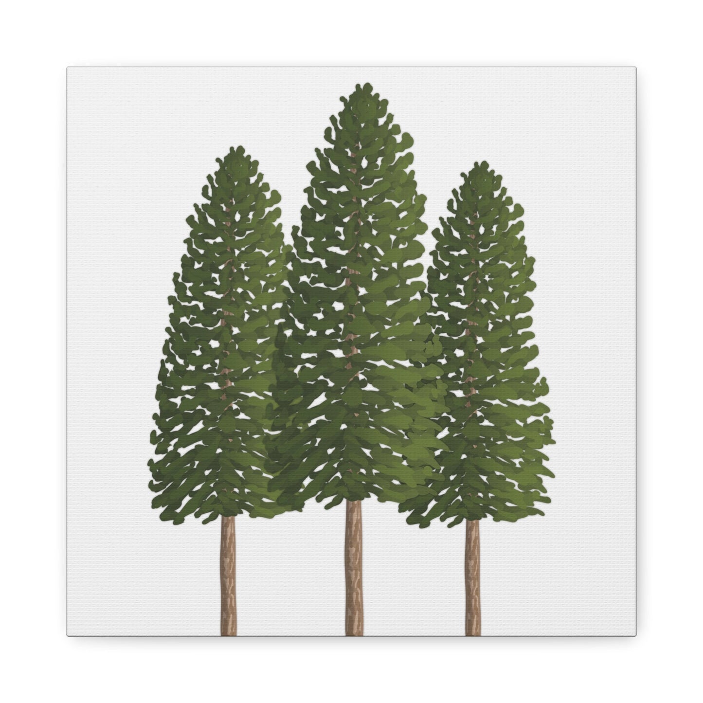 Ponderosa Pine Canvas Print – Wall Art