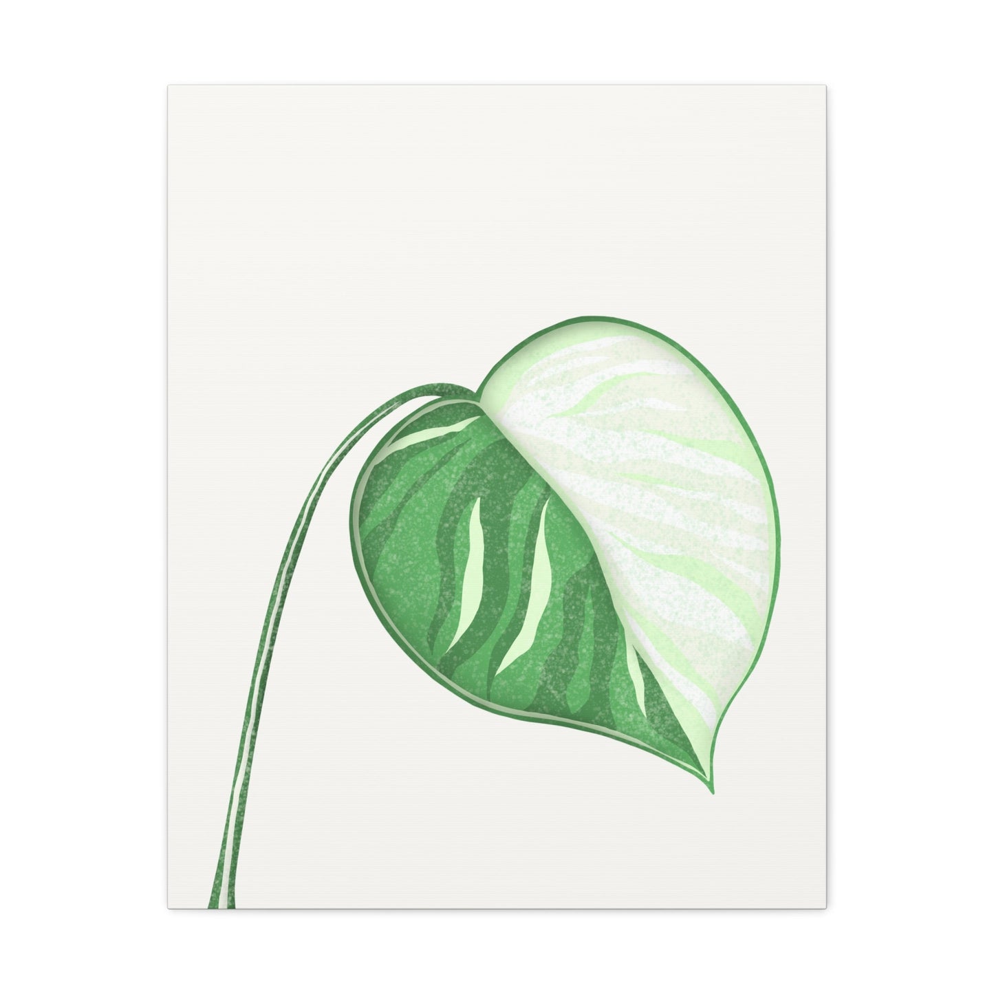 Monstera Albo Canvas Print – Botanical Wall Art