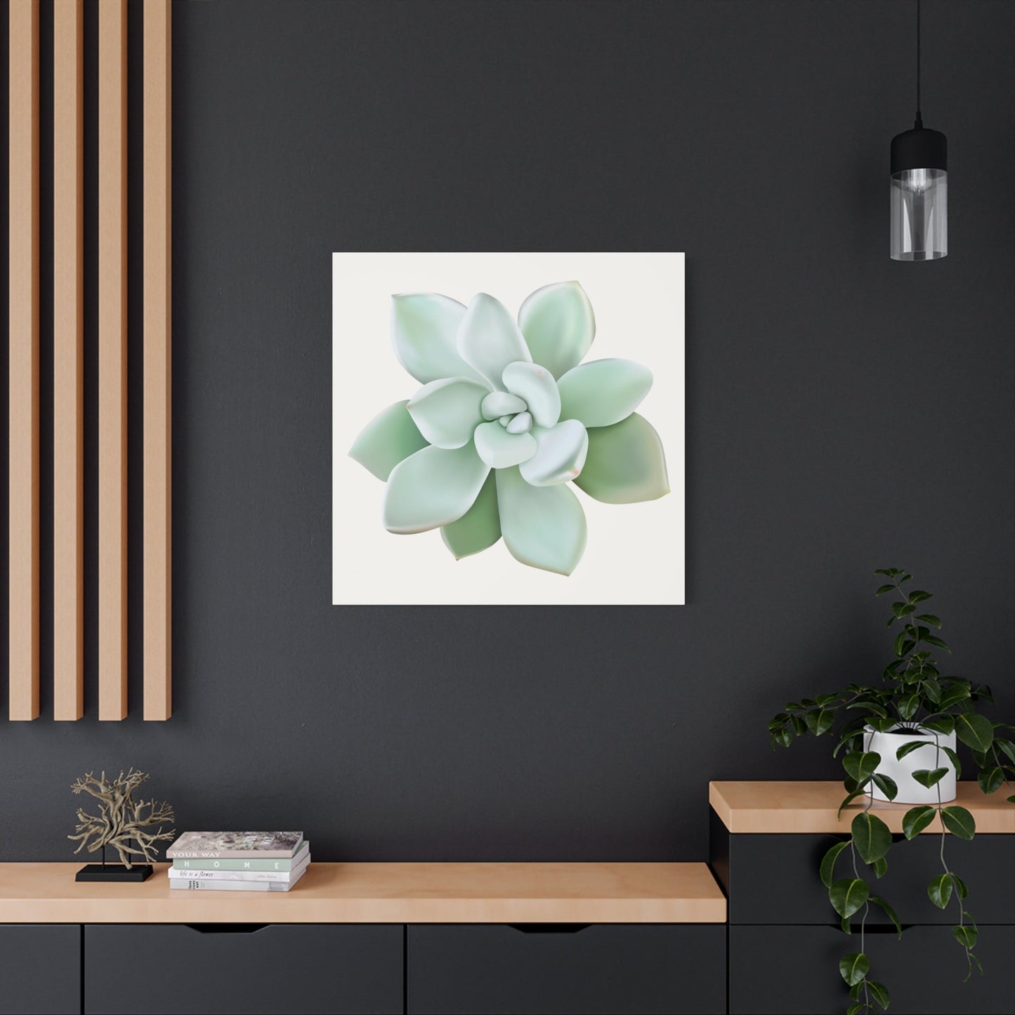 Pachyveria Haagei Succulent Canvas Print – Botanical Wall Art