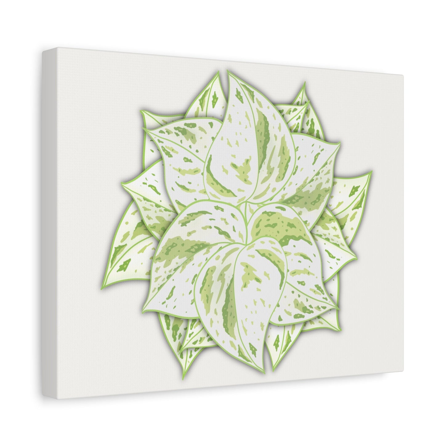 Snow Queen Pothos Canvas Print – Botanical Wall Art